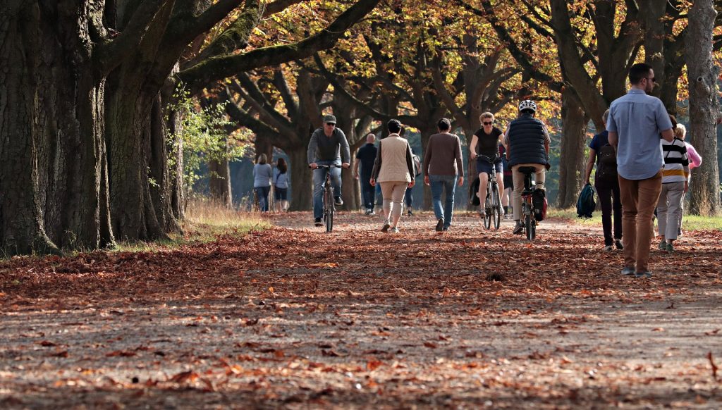 People walking and biking through a park during autumn.