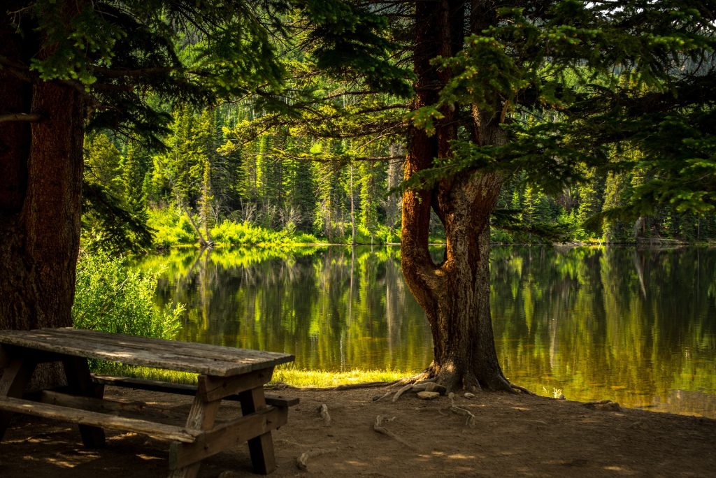 A bench at a park near a lake.