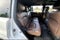 2022 Nissan Armada Platinum