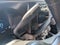 2024 Ford F-350SD Platinum